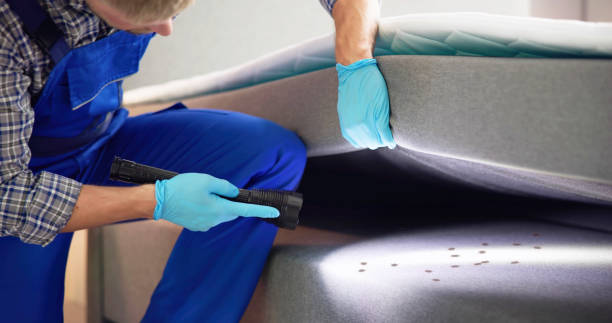 Reliable Plattsburgh West, NY Pest Control Solutions