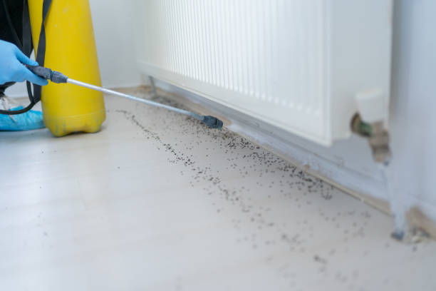 Best Pest Inspection Near Me  in Plattsburgh West, NY